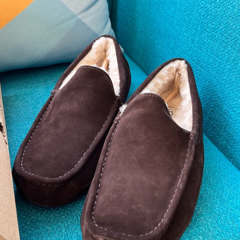 Men’s Size 13 UGG Ascot slippers in Espresso. - Picture 1 of 3